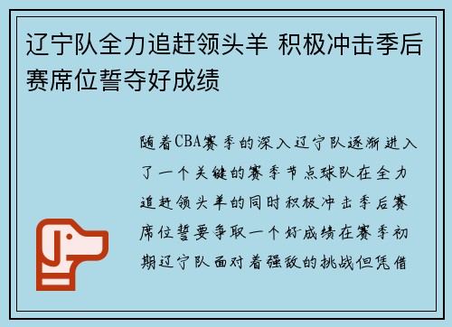 辽宁队全力追赶领头羊 积极冲击季后赛席位誓夺好成绩